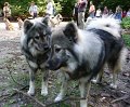 djago_w (72)